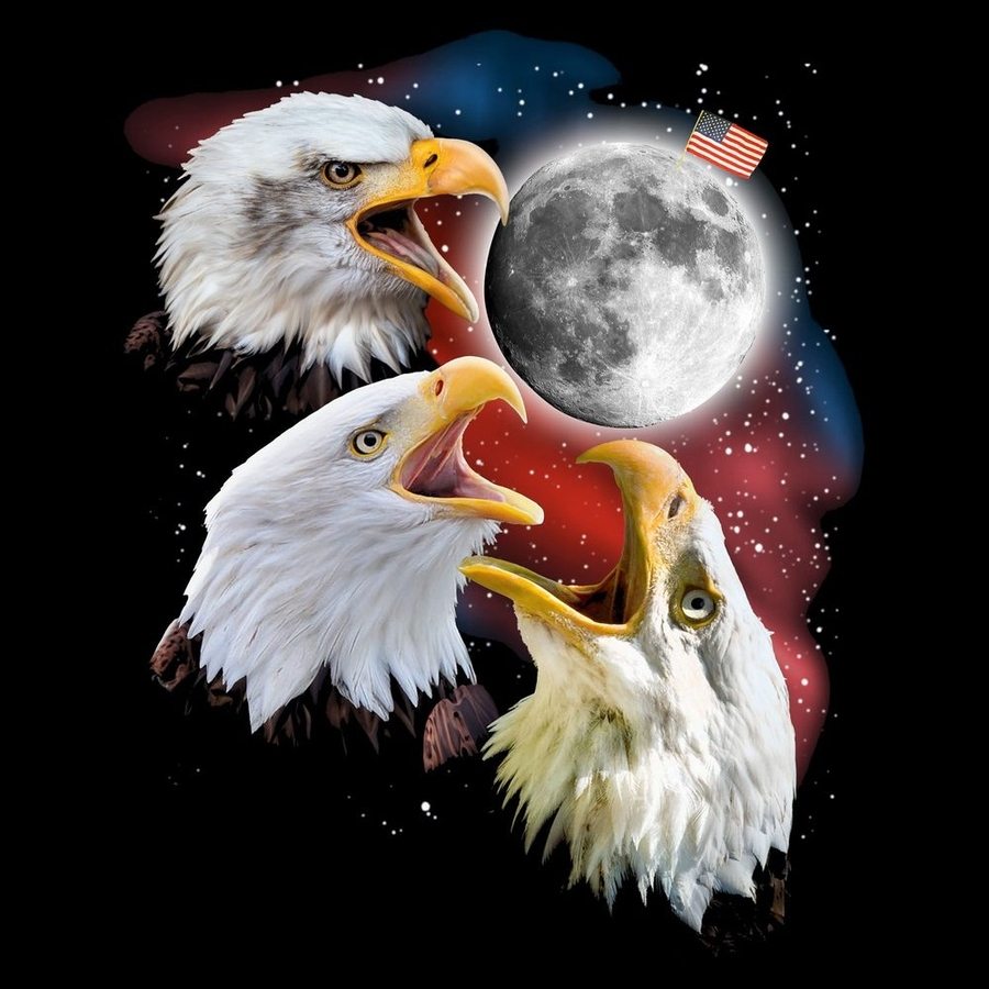 GS6716_WEB_READY_ART_FRONT-2.jpg